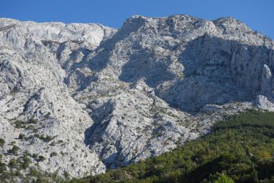 Biokovo Bast