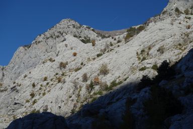 Biokovo na stazi Bast - Osičine