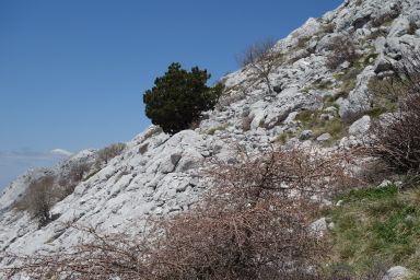 Biokovo na stazi Bukovac - Zec - Čorlina - Šćirovac