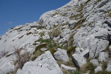 Biokovo na stazi Bukovac - Zec - Čorlina - Šćirovac