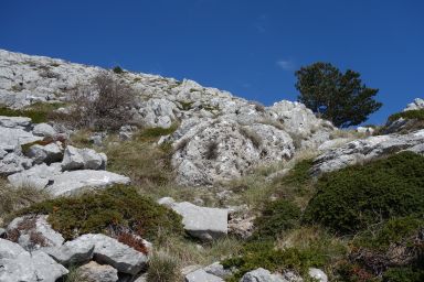 Biokovo na stazi Bukovac - Zec - Čorlina - Šćirovac