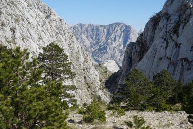 Biokovo na stazi Bukovac - Zec - Čorlina - Šćirovac