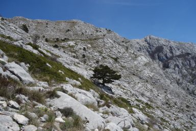 Biokovo na stazi Topići - Sveti Ilija