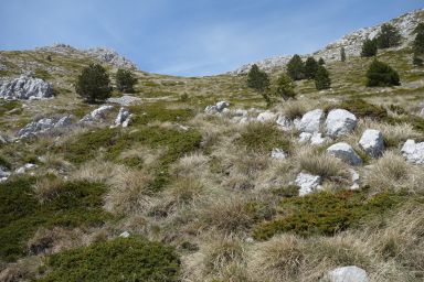 Biokovo na stazi Topići - Sveti Ilija