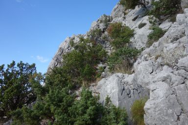 Biokovo na stazi Topići - Vrata Topola