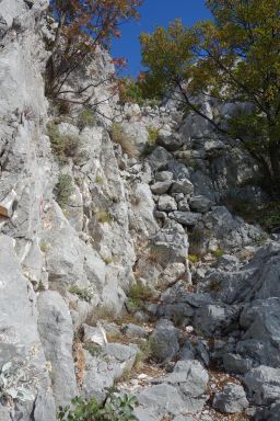 Biokovo na stazi Topići - Vrata Topola