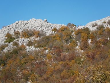 na markiranom putu između 1c i 4a, vidi se Kamen i odmah na desno je sedlašce, početak Grebenca