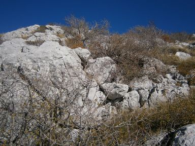 Grebenac