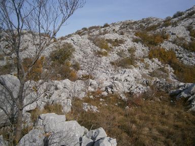 Okrugli dolac
