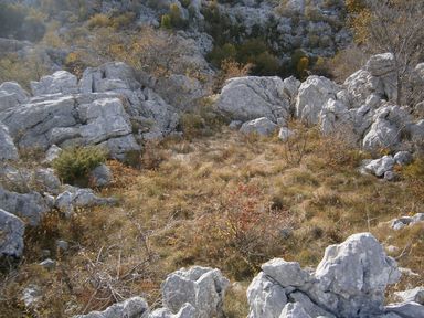 Okrugli dolac