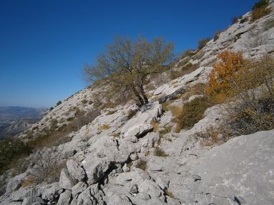 Mosor izvan Staze