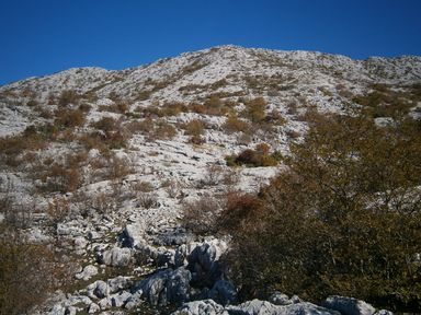 Mosor izvan Staze