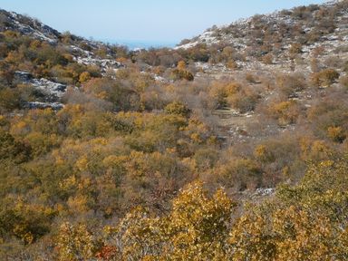 Mosor izvan Staze