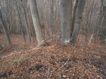 Samoborsko gorje - Mali Oštrc
