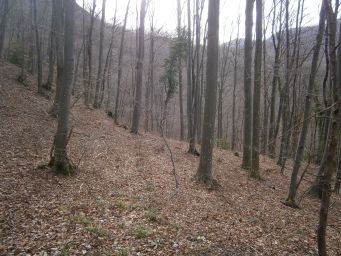 Samoborsko gorje - Mali Oštrc