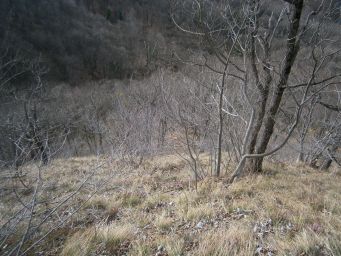 Samoborsko gorje - Mali Oštrc