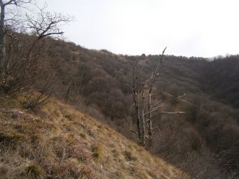 Samoborsko gorje - Mali Oštrc