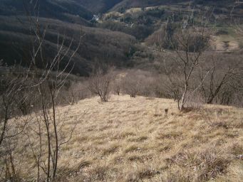 Samoborsko gorje - Mali Oštrc