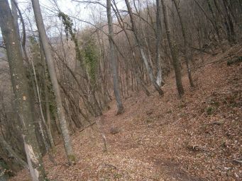 Samoborsko gorje - Mali Oštrc