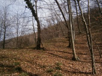 Samoborsko gorje - Mali Oštrc