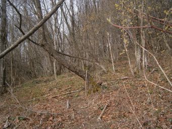 Samoborsko gorje - Mali Oštrc